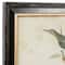 Black Wood Farmhouse Cottage Birds Wall Art Set